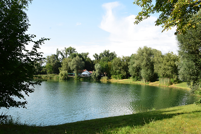 Fischweiher bei Schifferstadt