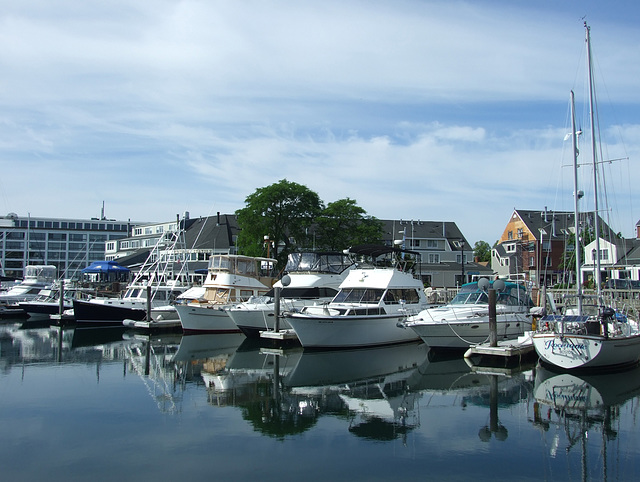 The Harbor in Salem, June 2010