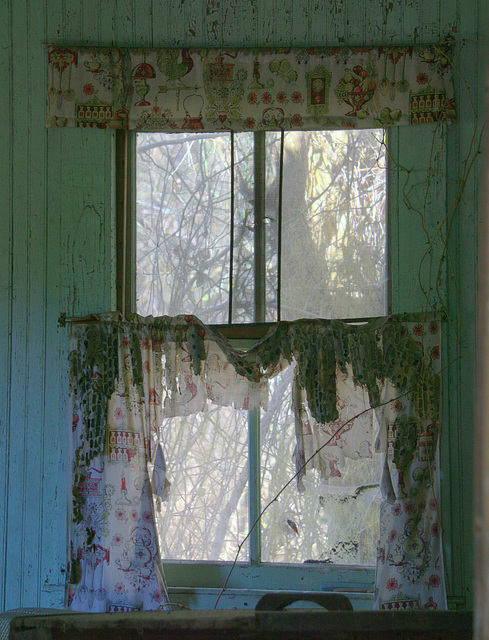 Kitchen curtains 2