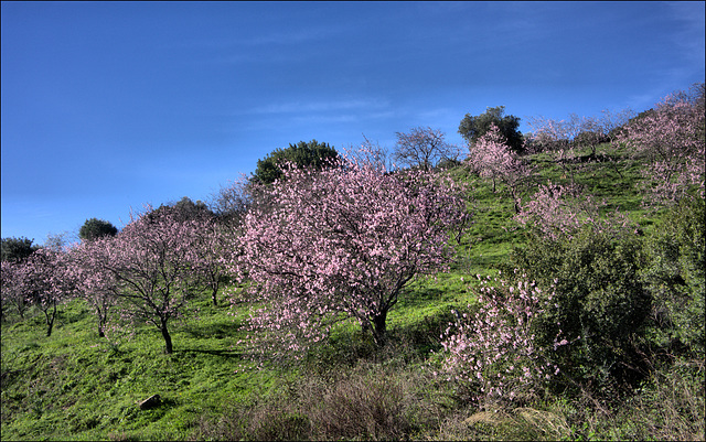 Gaucín