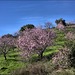 Gaucín
