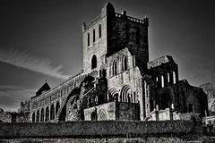 Jedburgh Abbey (Monochrome)