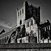 Jedburgh Abbey (Monochrome)