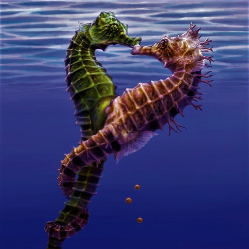 SEAHORSE