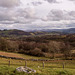 Welsh landscape2