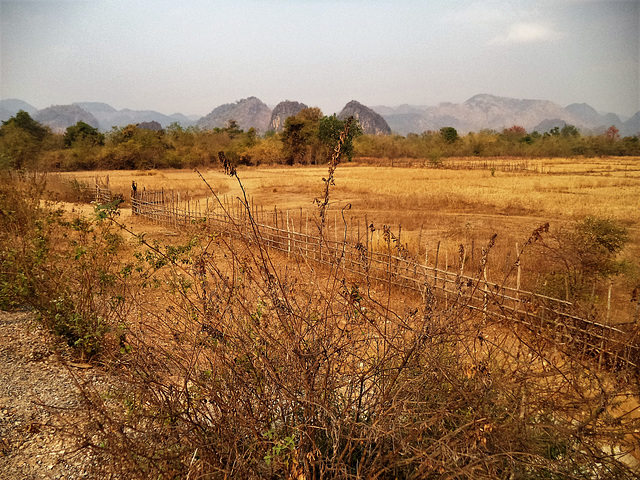 Les charmes pittoresque du Laos rural / Laotian fence