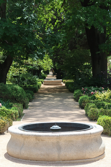 Real Jardin Botanico de Madrid