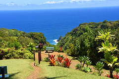 Die Bank im Botanical Garden, Maui