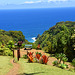 Die Bank im Botanical Garden, Maui