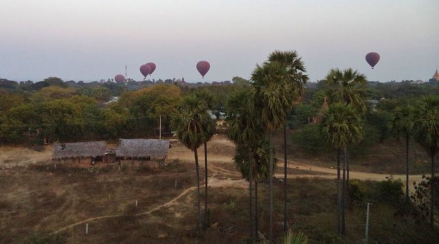 Balloons Over Bagan