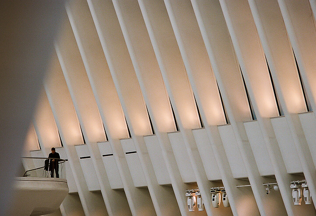 Man at the Oculus (version 1)