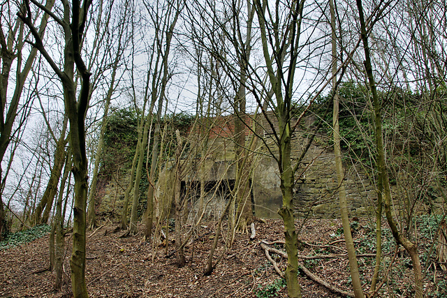 Erhaltene Stützmauer der ehemaligen Zeche Dahlhauser Tiefbau 1/2 (Bochum-Dahlhausen) / 21.03.2021