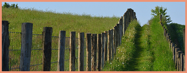 Caterpillar Fence  HFF for everyone-20-5-2022