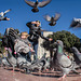 Pigeon Invasion - Barcelona, Spain