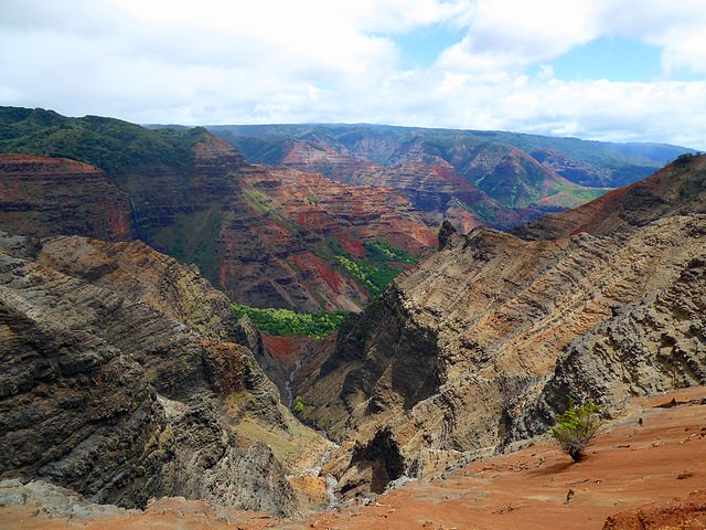 Unterwegs am Weimea Canyon