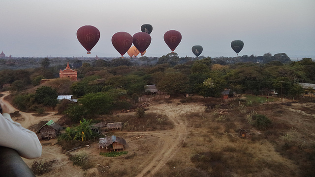 Balloons Over Bagan