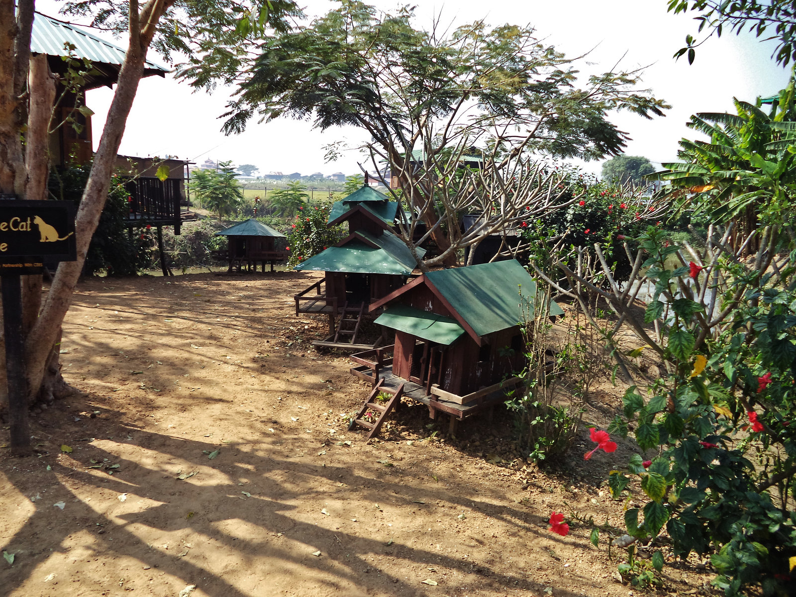 boat trip on Lake Inle