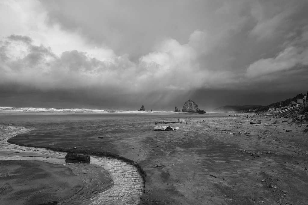 Winter Beach Vista