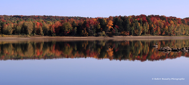 Couleurs de l'automne