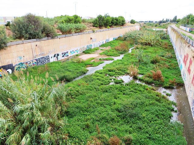 Tabernes Blanques (Valencia): barranco de Carraixet, 1