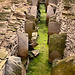 Midhowe Chambered Cairn