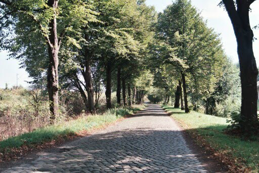 Hauland - so hieß diese kleine Allee.