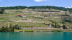 130630 Lavaux