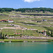 130630 Lavaux