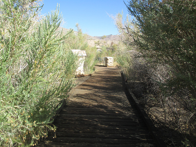 Cerro Gordo 33