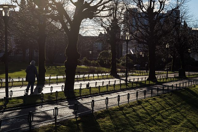 A walk in the park