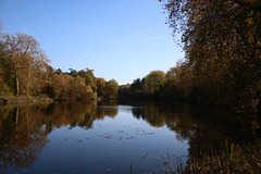 vue automnale sur l' etang de ste perine ( oise ) ....