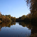 vue automnale sur l' etang de ste perine ( oise ) ....