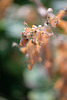 DSCF8140