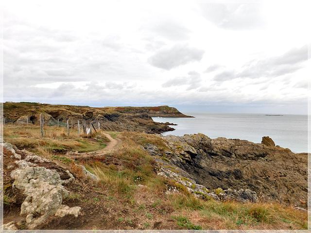 Vue depuis le GR34 vers la pointe de la Varde (35)