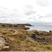 Vue depuis le GR34 vers la pointe de la Varde (35)