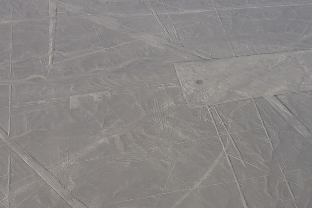 Condor Geoglyph