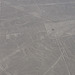 Condor Geoglyph