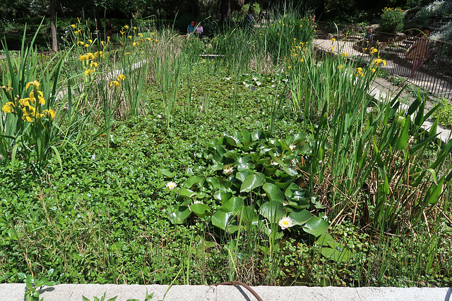 Real Jardin Botanico de Madrid