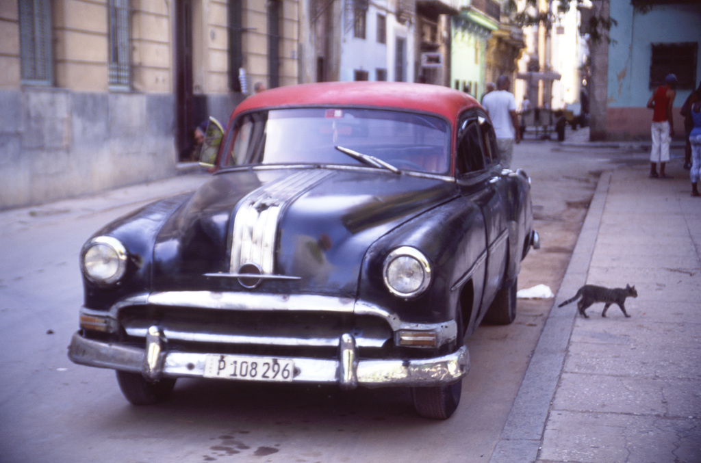 Car and Cat