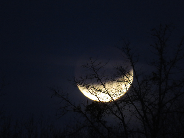 Lunar eclipse 31 January 2018