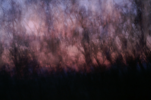 2006.11.03 (13)