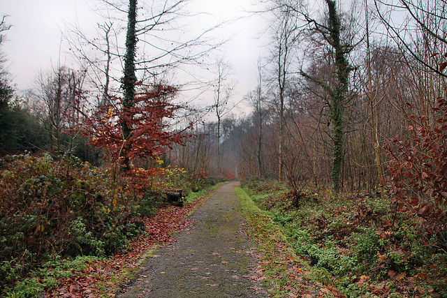 Weg hinab ins Ruhrtal (Essen-Heisingen) / 1.12.2019