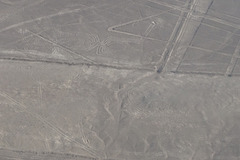 Spider Geoglyph