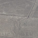 Spider Geoglyph