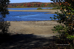 Descendre vers l'eau