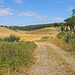 Pathway to the Hills