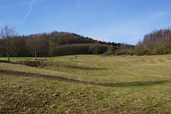 Waldwiese am Krücker