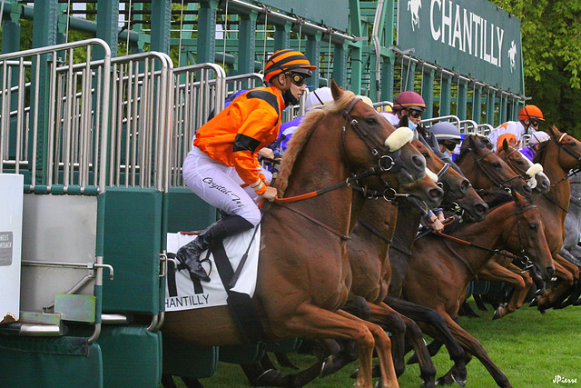 Retour des courses à Chantilly