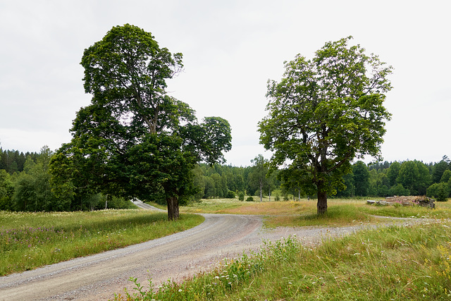 -landschaft-03240-co-26-07-17