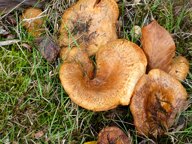 Smakelijk eten